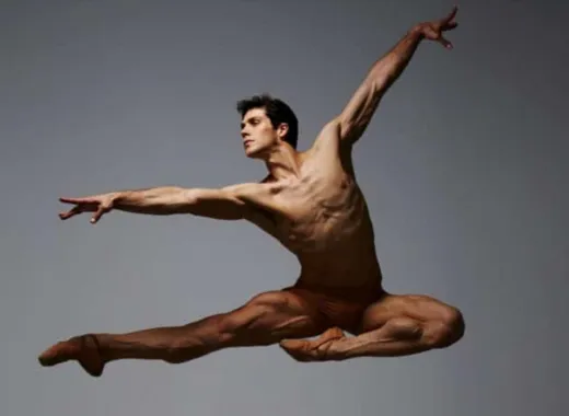 Roberto Bolle et ses Amis