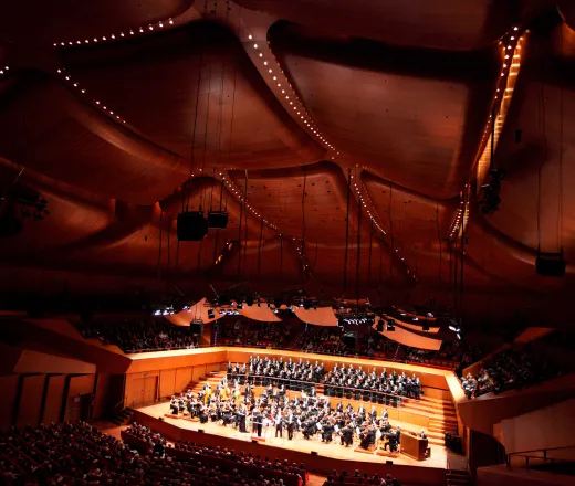 Family Concert, Ensemble Orchestra